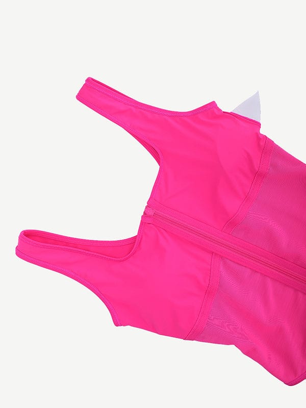 Sculpting Tummy Control One Piece Swimsuit